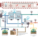 Proceso completo del proyecto LZWW
