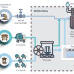 Proceso de gestión de la Fracción Orgánica de los Residuos Sólidos Urbanos (FORSU)